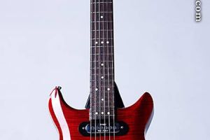 Guitar photograph