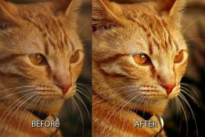 Digital photo manipulation / optimization